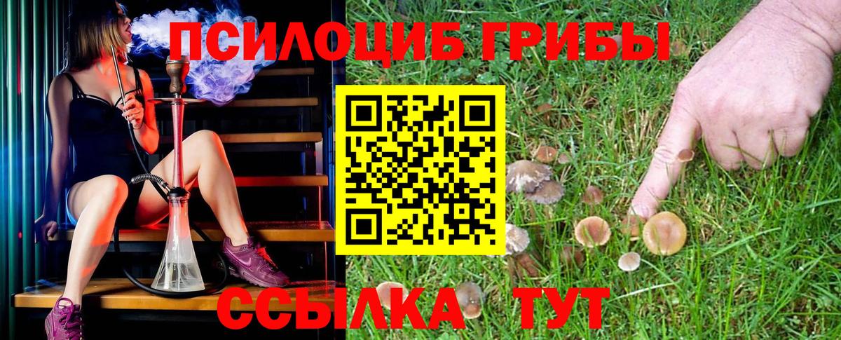 Галлюциногенные грибы Cubensis Карталы