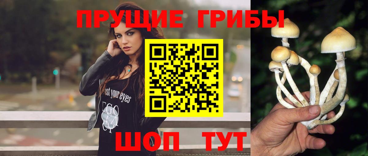 Карталы  Псилоцибиновые грибы мицелий  Вход с VPN 